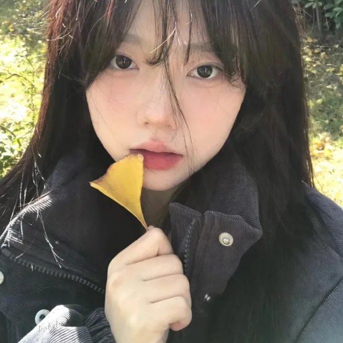 丹美的电影宇宙